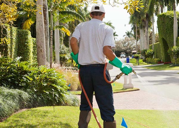 About Salix PA Pest Control Pros